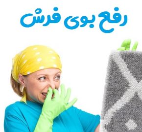 9d213d078ae3e3e7e3cd7047db4a0569 XL - قالیشویی در شریعتی - راهکار های خانگی برای از بین بردن بوی بد فرش ها