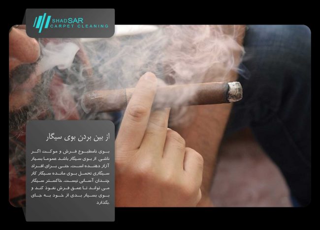 shadsar قالیشویی در جنت آباد