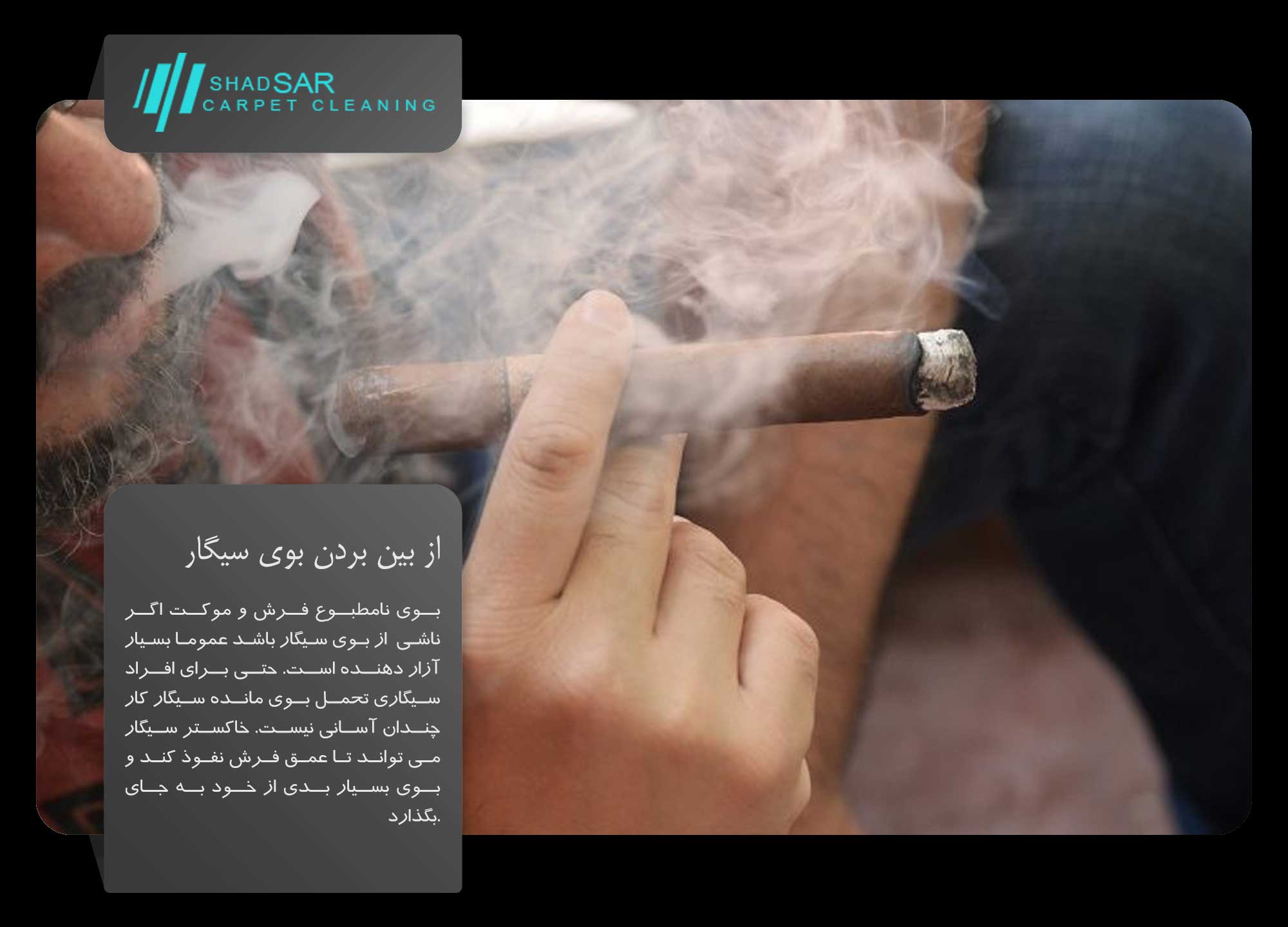 shadsar قالیشویی در جنت آباد